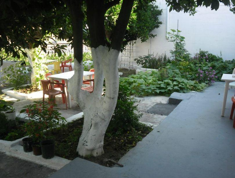 Appartement Electra *